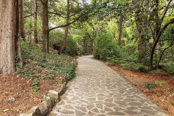 Stone Walkway Repair in Webster