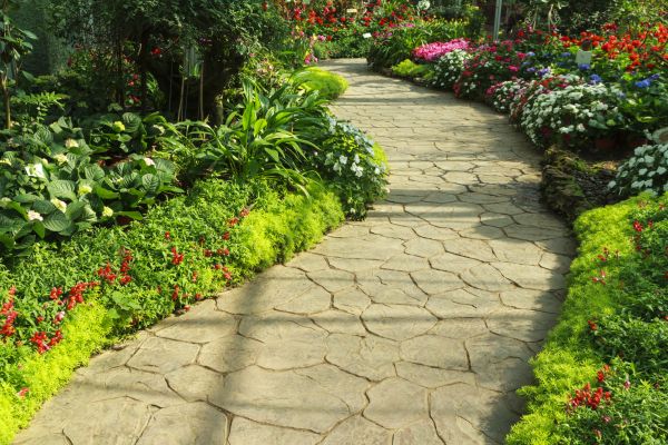 Stone Pathway Repair in Webster
