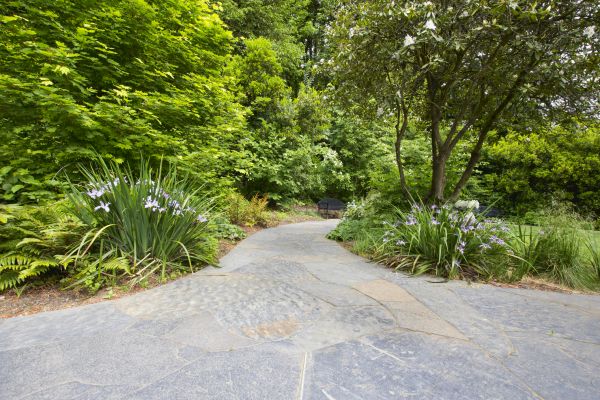 Stone Hardscape Service in Webster